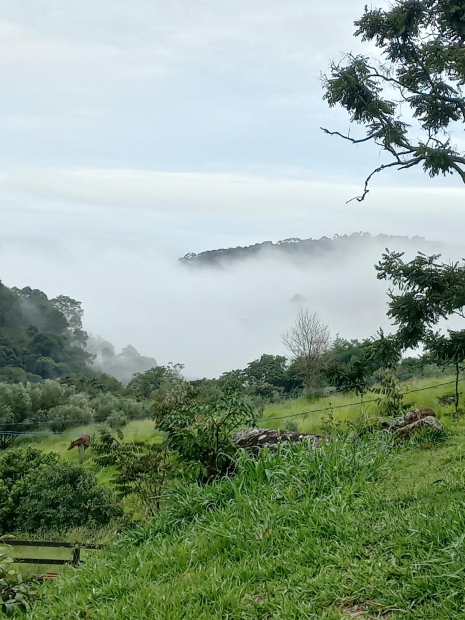 Chale Araucaria- Vale Das Pedras Mg 萨普卡伊米林 外观 照片